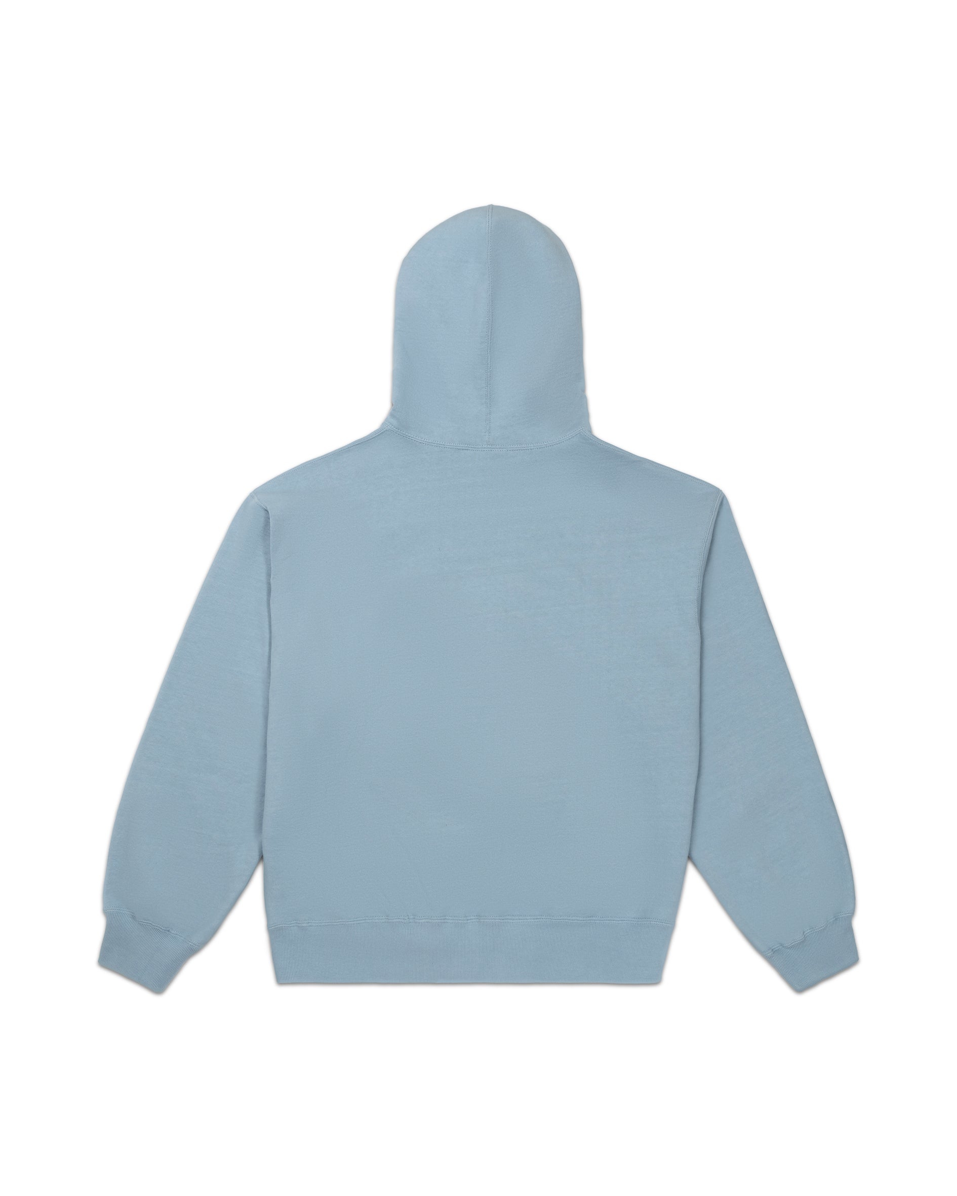 The Art Amusement Park Hoodie