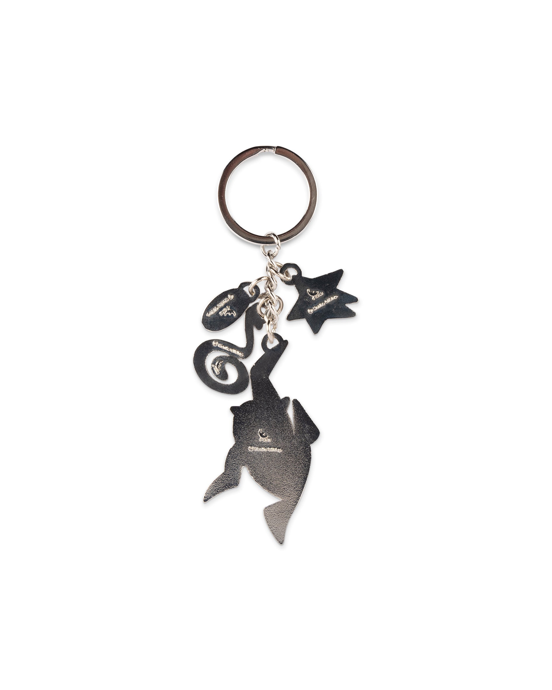 "The lizards swallowed the vampire-wind" Key Ring